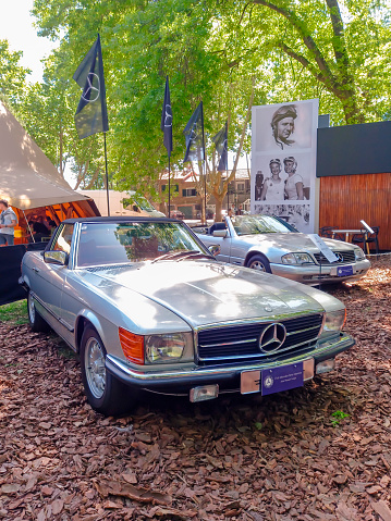 San Isidro, Argentina - Nov 7, 2022: Silver gray 1978 Mercedes Benz 450 SL R107 sport coupe roadster in a park. Nature, trees. Autoclasica 2022 classic car show.
