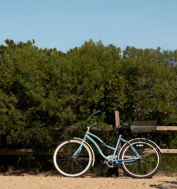 istock Blue cruiser bike 1662642168