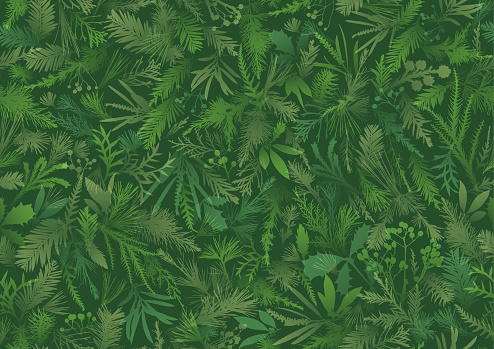 Seamless green living wall vertical garden camouflaged Christmas plants wallpaper vector background