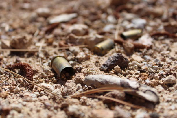 istock Desert bullet casings 1662667289