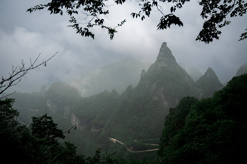 Zhangjiajie Forest National Park in Hunan, China.