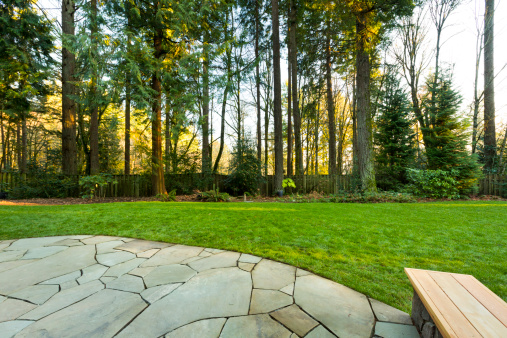 Back patio and green lawn.