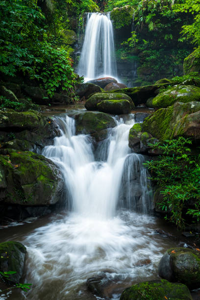 bellissima cascata di foresta profonda in thailandia. - spring waterfall landscape mountain foto e immagini stock