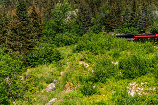 istock White Pass Summit excursion tour train in the mountains, Alaska, USA. 1662696616