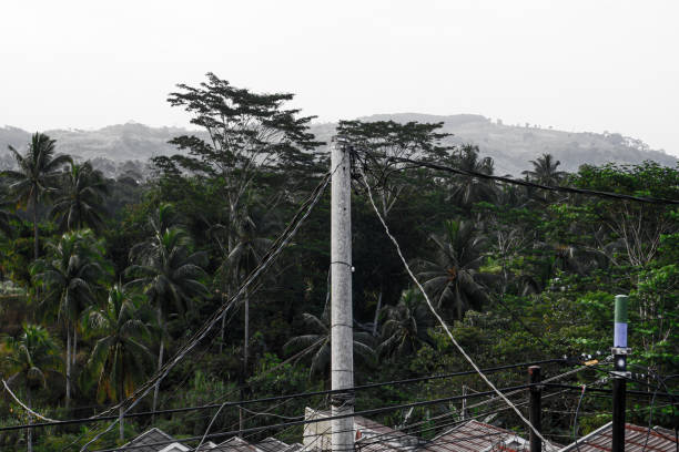 A cable on a standing electric pole with trees in the background.