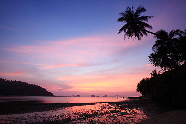 zachód słońca, wyspie samui, tajlandia - thailand surat thani province ko samui coconut palm tree zdjęcia i obrazy z banku zdjęć