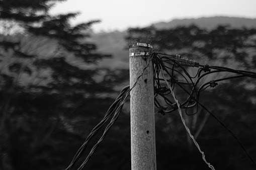 A cable on a standing electric pole with trees in the background.