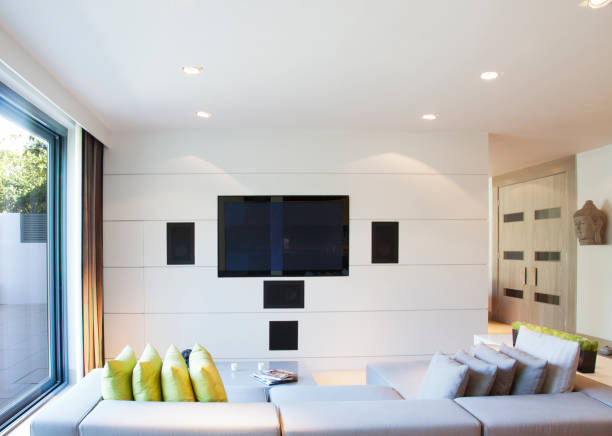 istock Sofa and television in modern living room 166272395
