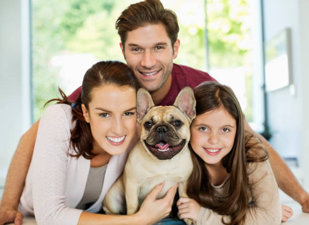 Smiling family hugging dog  french bulldog stock pictures, royalty-free photos & images
