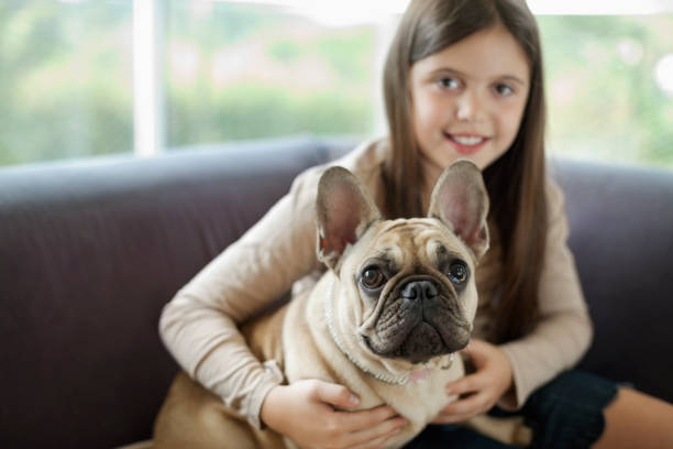 istock Girl relaxing dog on sofa 166272948