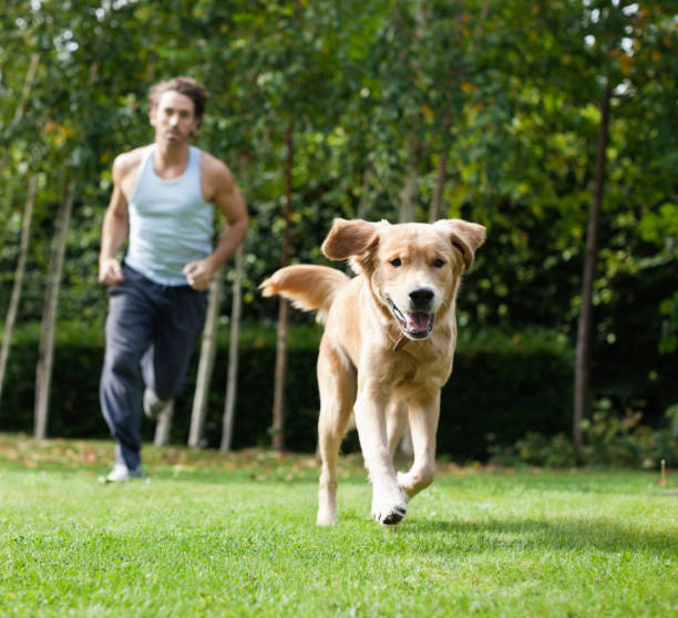 istock Man running with dog in park 166273001