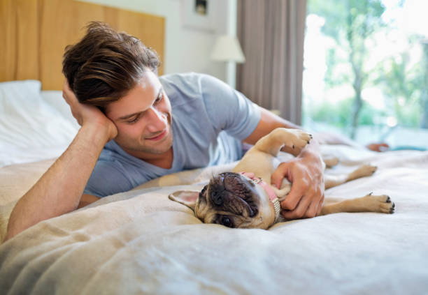 istock Man petting dog on bed 166273082