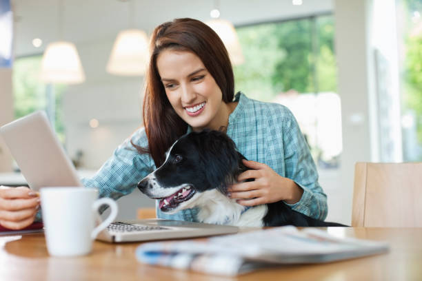 istock Woman with dog on lap using laptop 166273138