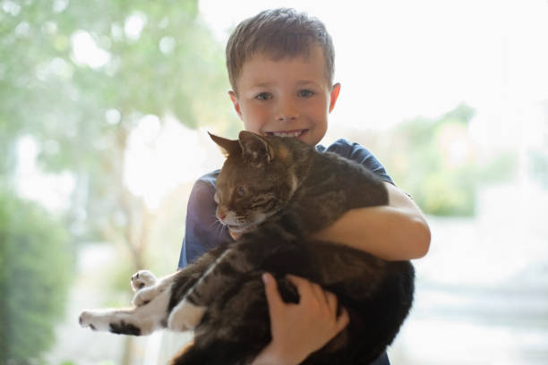 istock Smiling boy holding cat indoors 166273148