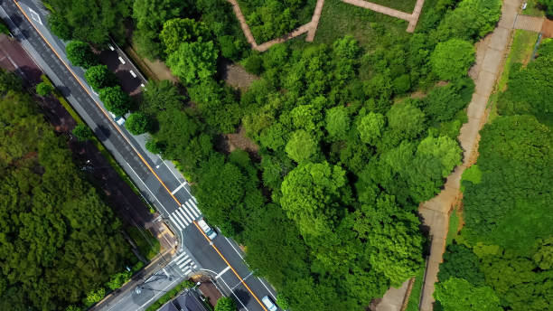 istock Modern city and park aerial view. 1662735584