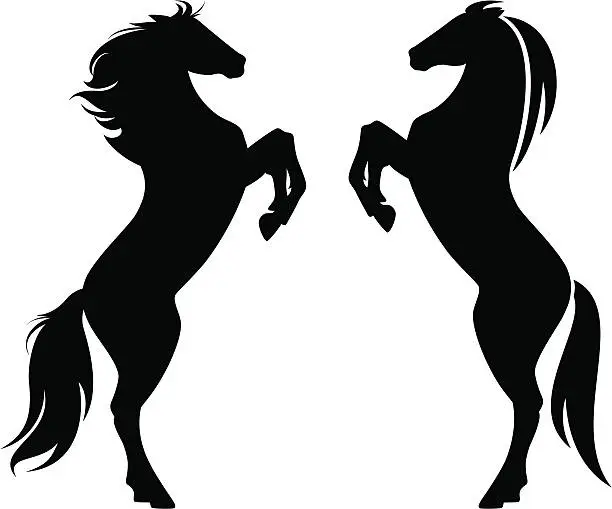 Vector illustration of rearing horses