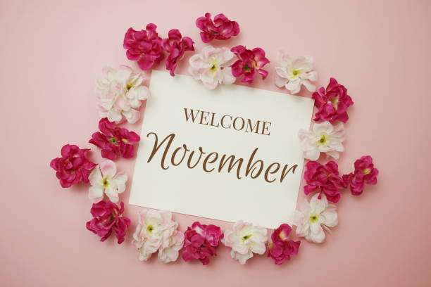 istock Welcome November card typography text with flower bouquet on pink background 1662749528