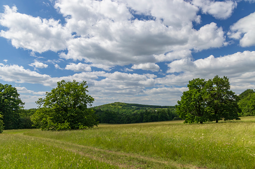 National nature reservation Vojsicke louky near Lucina,  White Carpathians, Czech Republic