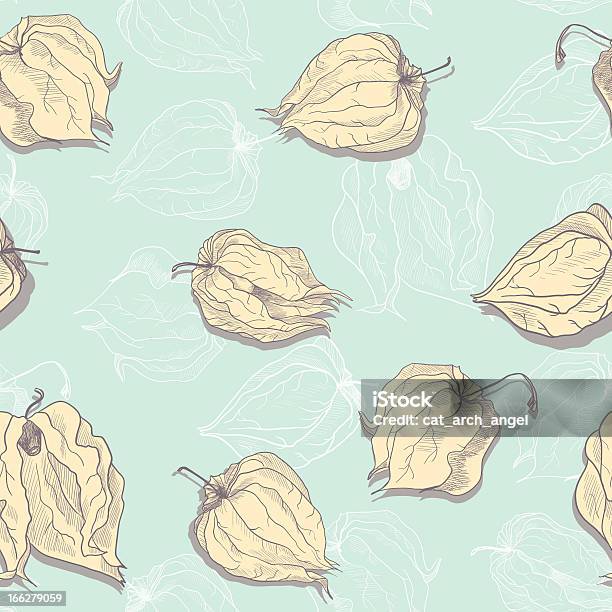 Motif Sans Couture De Physalis Vecteurs libres de droits et plus d'images vectorielles de Abstrait - Abstrait, Ciel, Contour