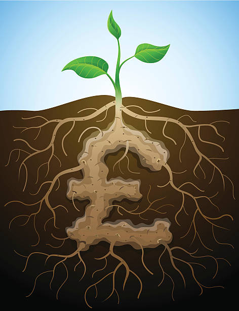 istock Pound sterling sign like root of plant 166282223
