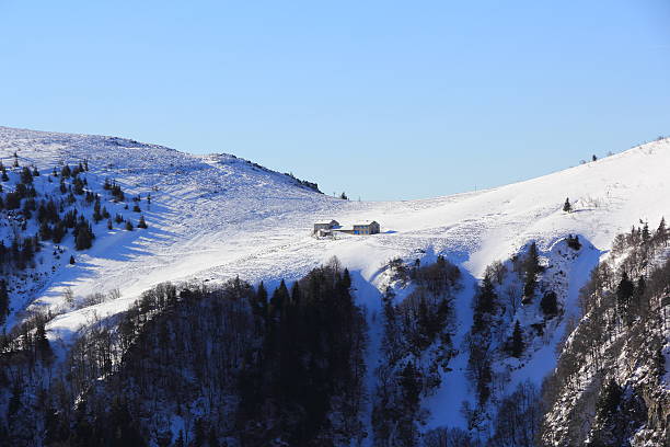 el massif de vosges en invierno - col de falimont fotografías e imágenes de stock