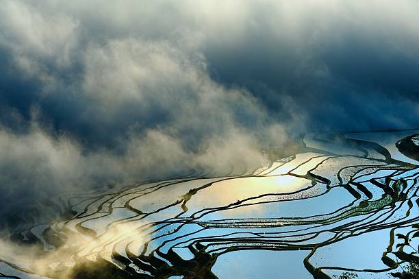 terrasse champs et de nuages - agriculture artificial yunnan province china photos et images de collection