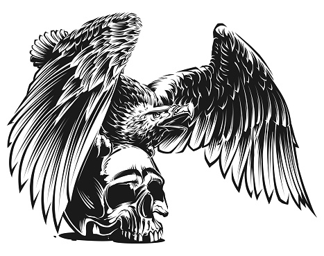 Vector Eagle and Skull