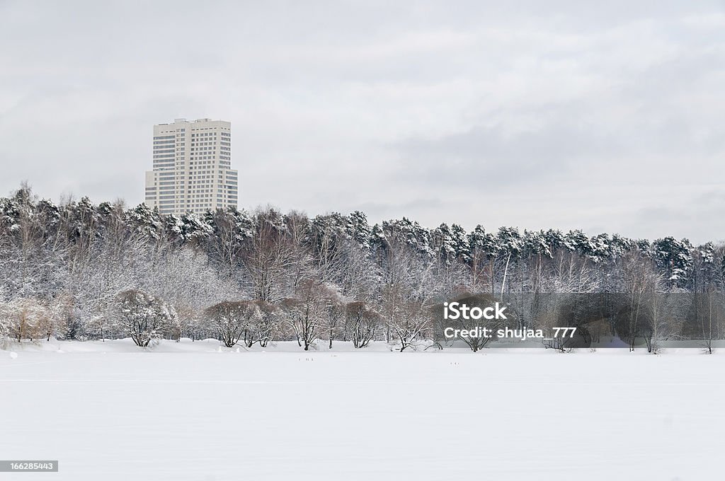 Gratte-ciel dans la forêt de neige; Lac gelé avant - Photo de Arbre libre de droits
