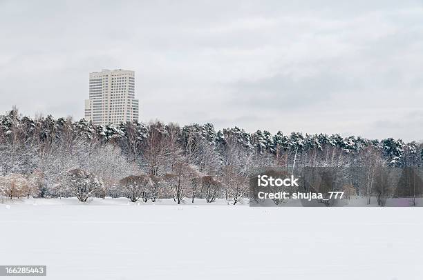 Foto de Floresta De Arranhacéus De Trás Com Nevesalto Lago Congelado Antes e mais fotos de stock de Arquitetura