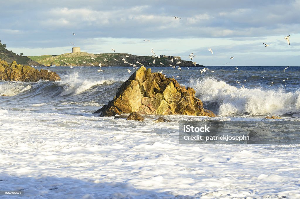 Gaivotas soar no vento sobre um grande mar. - Royalty-free Animal selvagem Foto de stock