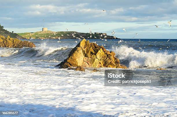 Чайкам Soar In The Wind Выше Это Добрая Море — стоковые фотографии и другие картинки Irish Sea - Irish Sea, Береговая линия, Ветер