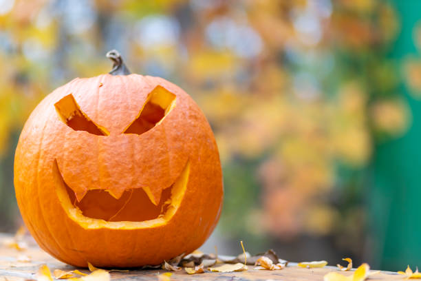 istock halloween pumpkin, autumn still life 1662857799