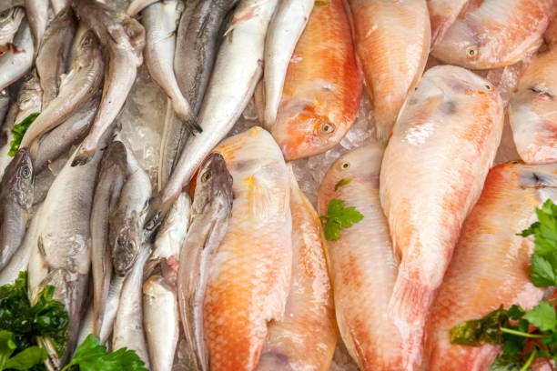istock Fresh sea fish at the fish market 1662879733