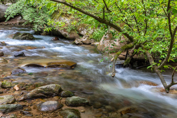 istock Natural monument Gaulschlucht gorge, South Tyrol 1662885103