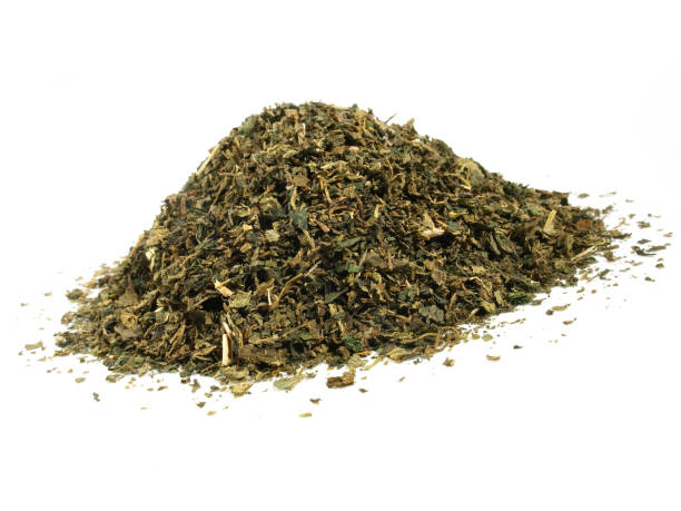 istock Stinging Nettle Tea - Healthy Nutrition Isolated 1662907341