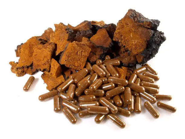 Chaga Mushroom with Capsules isolated on white Background - Healthy Nutrition