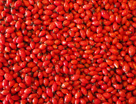 Rosehip Background - Healthy Nutrition