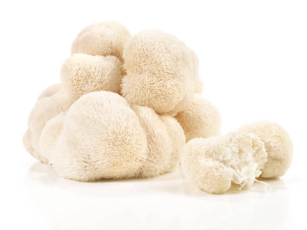 istock Fresh Hericium Mushroom - Healthy Nutrition Isolated 1662909823