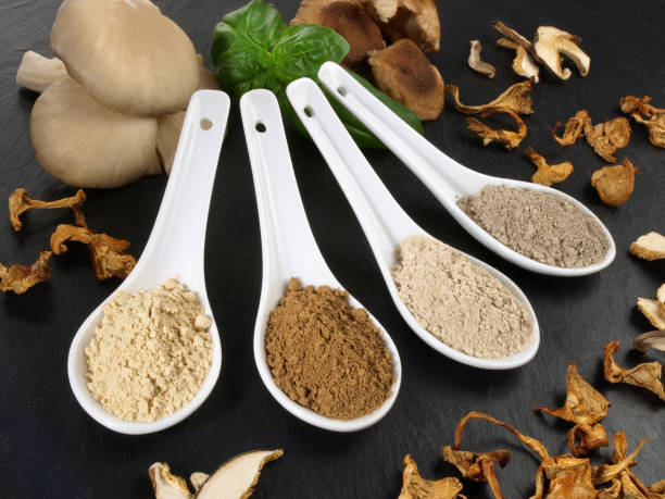 istock Medicinal Mushrooms - Powder 1662910351