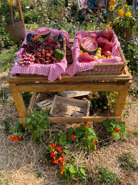 istock Fresh fruit and vegetables in a garden. 1662928662