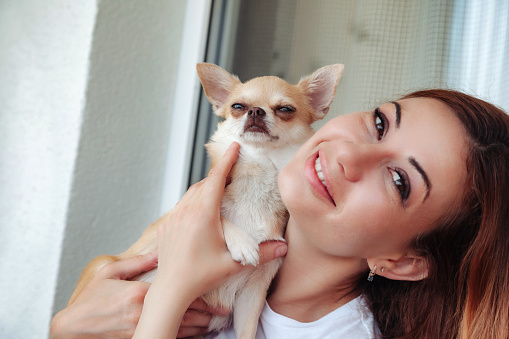Middle aged lovely woman holding her doggy Chihuahua in apartment, happy looking at camera. Funny Chihuahua dog in hands of lady at home. Concept of pet love and family friendship. Copy ad text space