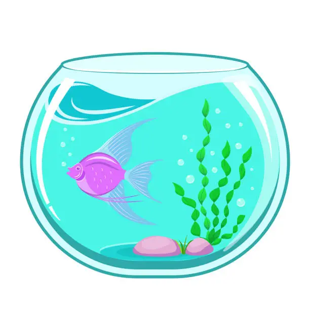 Vector illustration of Aquarium with fish. Fishbowl isolated on white background.