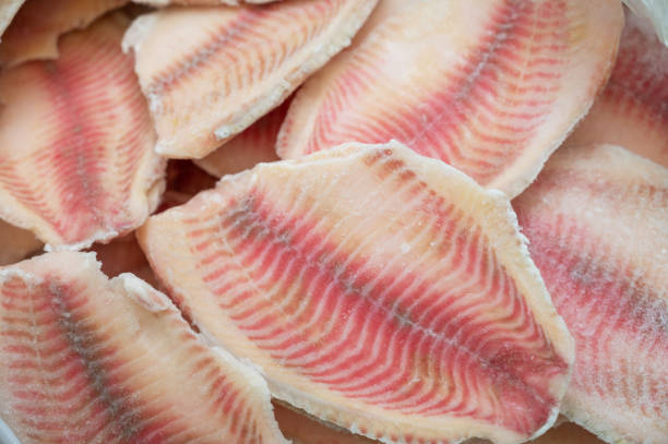 Tilápias Resistentes à Franciselose Elevam Qualidade do Pescado. Imagem: Istockphoto.com Tilápias Resistentes à Franciselose Elevam Qualidade do Pescado. Imagem: Istockphoto.com