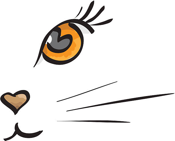 cat muzzle vector art illustration