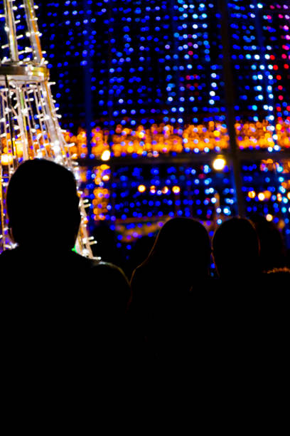 istock Enjoying the Christmas lights 1662966989