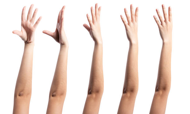 istock Collage of woman hands on white backgrounds 1663008653