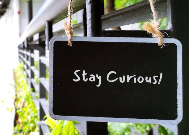 istock Chalkboard with handwritten text STAY CURIOUS - refers to desire to learn or know about anything, delight in learning more about what deeply interests 1663009280