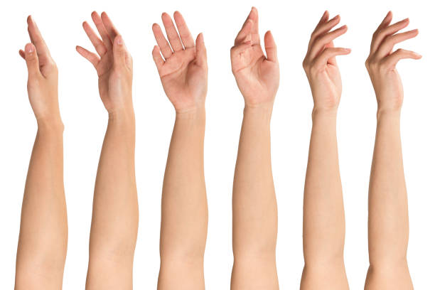Collage of woman hands on white backgrounds