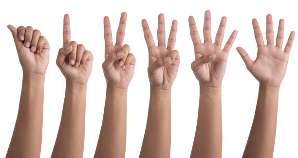 istock hands and arms fingers 0-5 symbols 1663011361