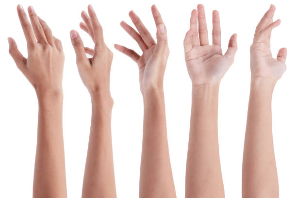 istock Collage of woman hands on white backgrounds 1663011627